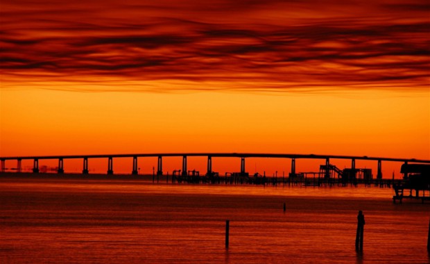 nature_desktop_background_466-1280x800.jpg